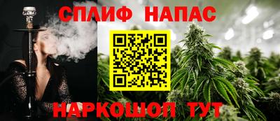 прущие грибы Ликино-Дулёво