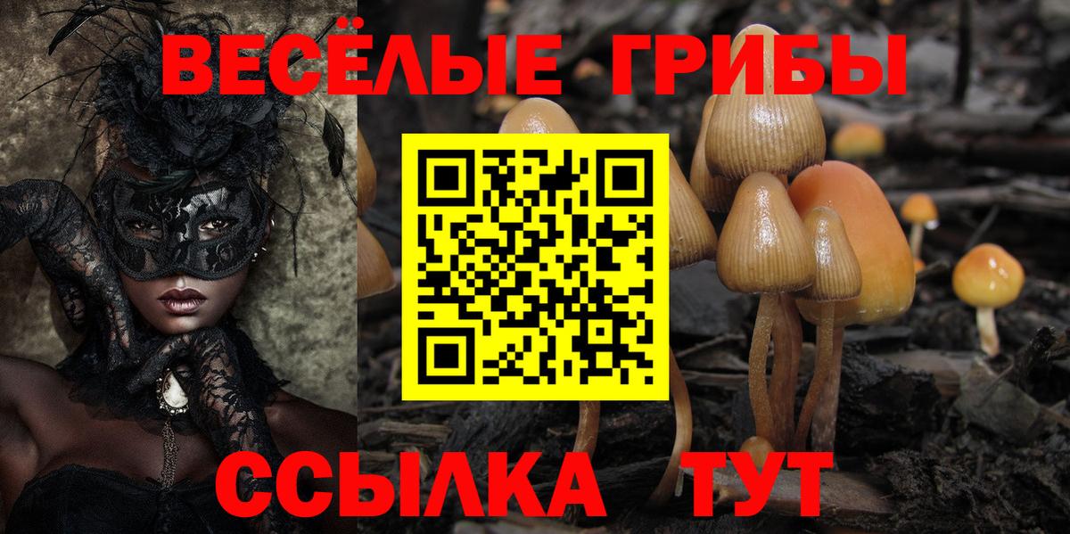 Псилоцибиновые грибы ЛСД Южно-Сахалинск