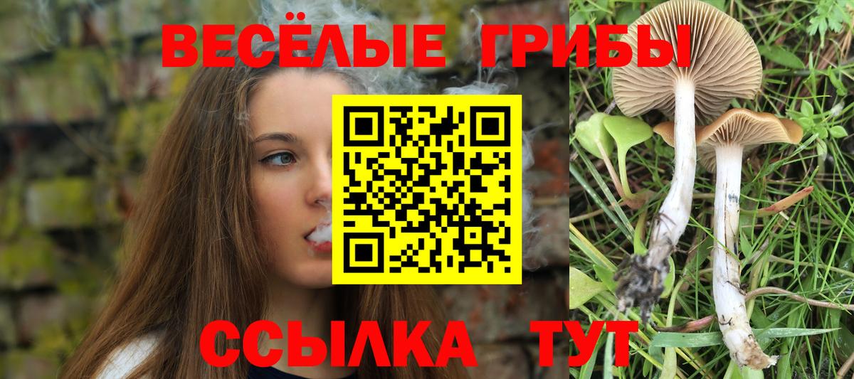 Галлюциногенные грибы Psilocybine cubensis  Вход с VPN  Южно-Сахалинск 